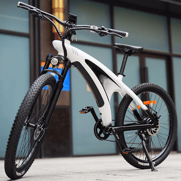 2024 electric bike