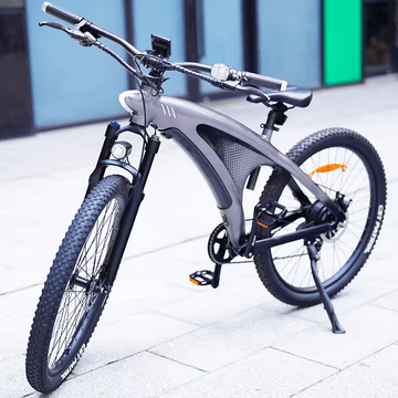 electric bike 2024