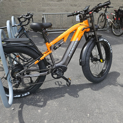 Why the RANDRDIE Electric Bike is the Perfect New Year's Day Gift