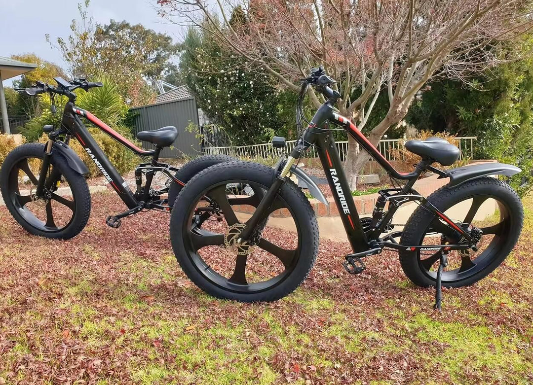 RANDRIDE Full Suspension Fat Tire Electric Bike 1000w Electric Bicycle