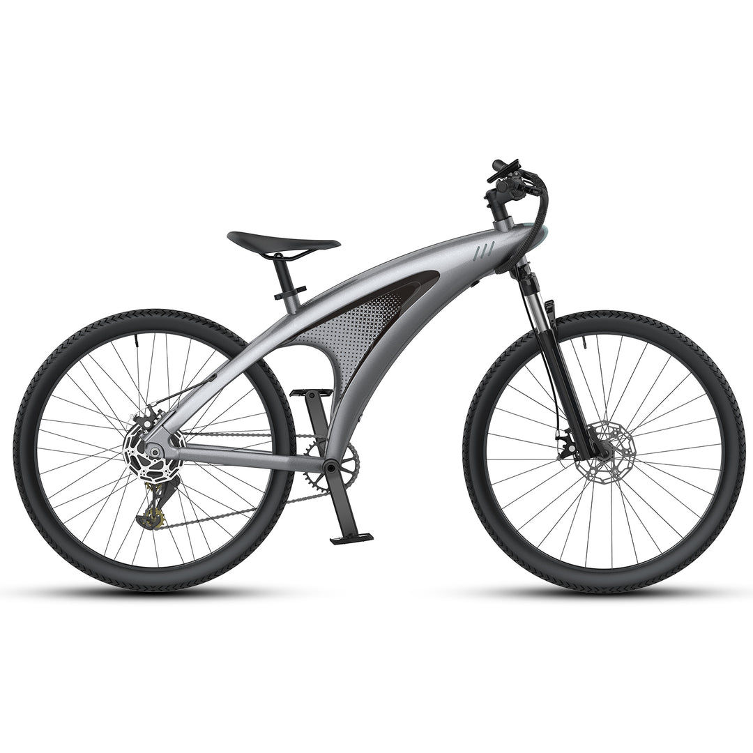 RANDRIDE x Q5 - 650W EMTB City Ebike 13AH Electric Commuter