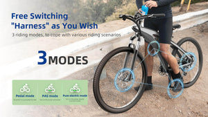 RANDRIDE x Q5 - 650W EMTB City Ebike 13AH Electric Commuter Bike 14