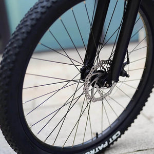 RANDRIDE x Q5 - 650W EMTB City Ebike 13AH Electric Commuter Bike 18