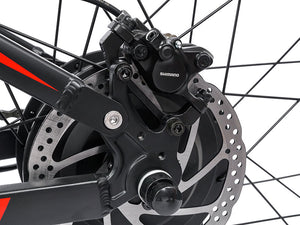 RANDRIDE 1000W Mountain Ebike Full Suspension Adult 20AH Electric Bike 12 hydraulic brake ebike